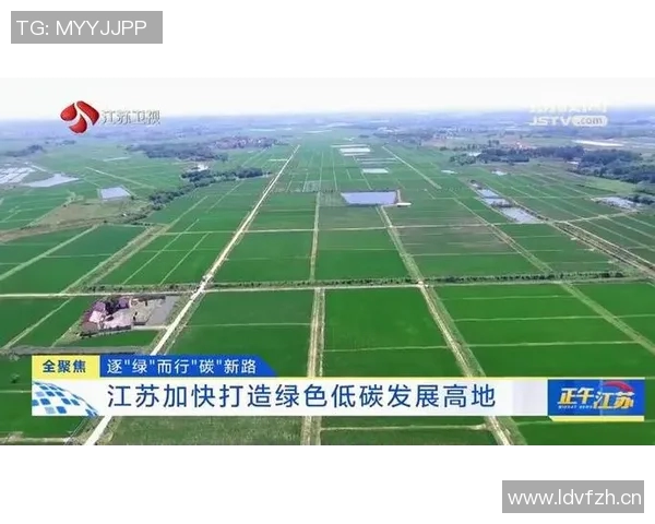 中国全面推进绿色低碳转型 重点领域突破加速经济高质量发展